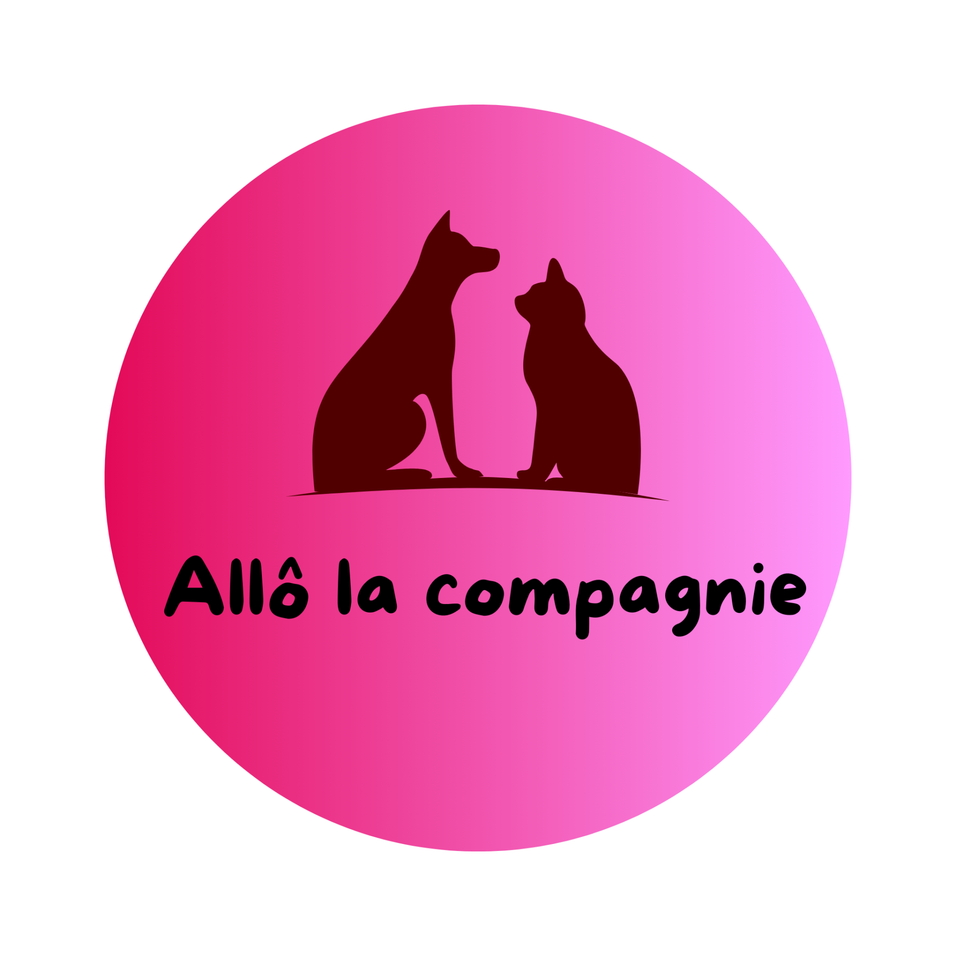 Allô la Compagnie